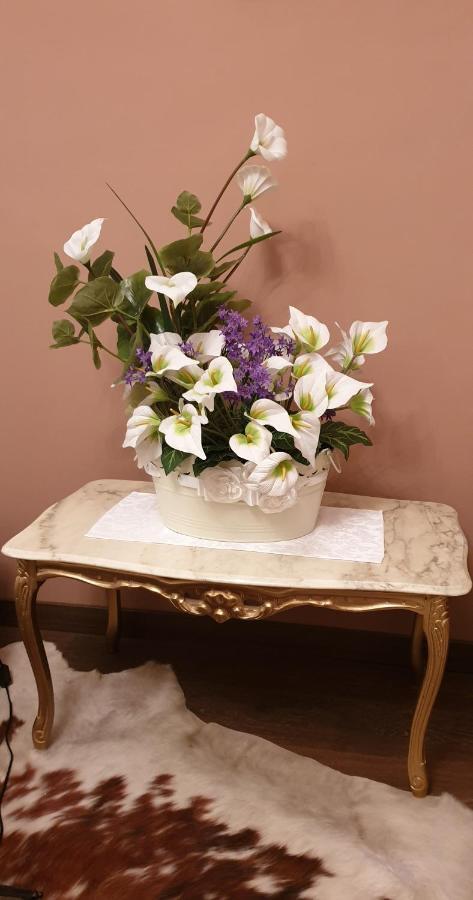 La Petite Maison Treviso Ngoại thất bức ảnh